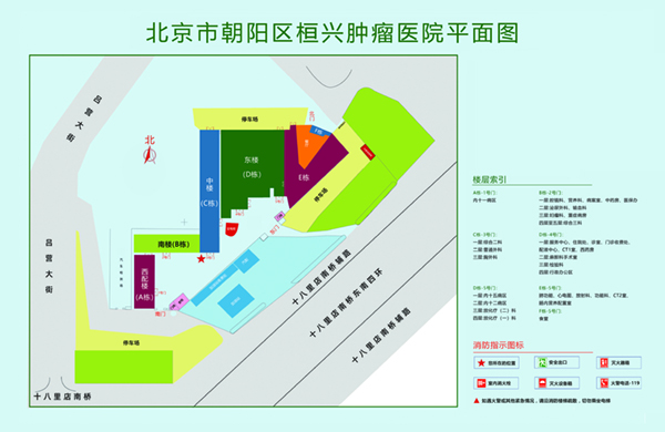 肏逼操逼视频电影北京市朝阳区桓兴肿瘤医院平面图